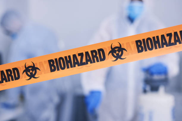 Professional Odor Removal technician working in Long Island, ME